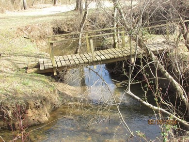 (private lake, pond, creek) Lot For Sale in Hayesville North Carolina