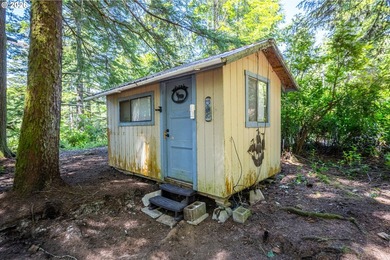 Tucked away in the trees on beautiful Woahink Lake, this rare 1 - photo 11