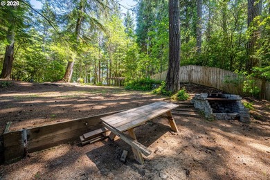 Tucked away in the trees on beautiful Woahink Lake, this rare 1 - photo 12