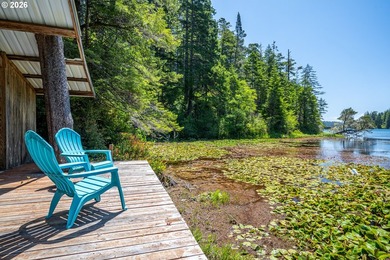 Tucked away in the trees on beautiful Woahink Lake, this rare 1 - photo 15