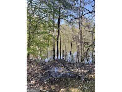 (private lake, pond, coastal) Acreage For Sale in Griffin Georgia