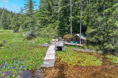 Tucked away in the trees on beautiful Woahink Lake, this rare 1 - photo 23
