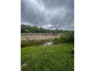 Beacon Lake Lot For Sale in Bluff Dale Texas