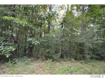 PIGEON ROOST CREEK-Approximately 6 acres of undeveloped property - Lake Acreage Sale Pending in Crane Hill, Alabama