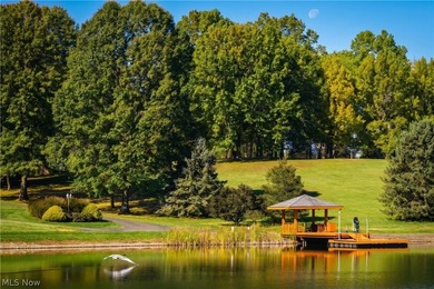 A rare opportunity to own one of Northeast Ohio's most - photo 42