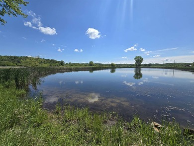 (private lake, pond, creek) Acreage For Sale in Hollandale Wisconsin
