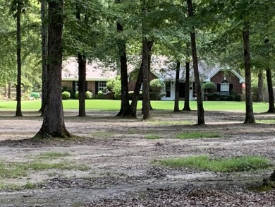 Lake Home For Sale in White Hall, Arkansas