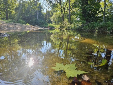 Lake Acreage Sale Pending in Gainesville, Missouri