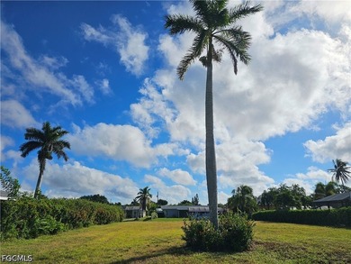 *** One of the best priced lots available in the prestigious - photo 11