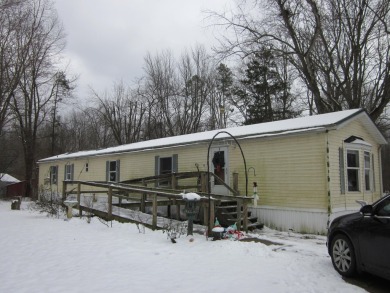 Lake Home For Sale in Gobles, Michigan