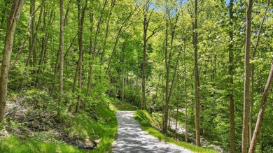 Lake Acreage For Sale in Tuckasegee, North Carolina