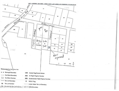 Zoned M1-1 Priced right. Cosmen St is not opened. Gaton Street - photo 2
