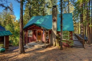 Lake Home For Sale in Arnold, California