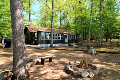 Little St. Germain Lake Home Sale Pending in Saint Germain Wisconsin