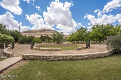Welcome to this exceptional North Valley horse property, where - photo 7
