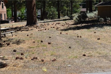 Lake Lot For Sale in Big Bear Lake, California