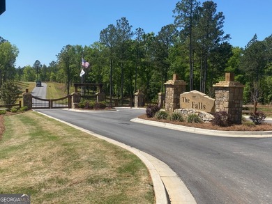 Gorgeous waterfront lot in the fabulous new gated waterfront - photo 4