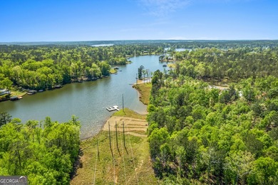 Gorgeous waterfront lot in the fabulous new gated waterfront - photo 7