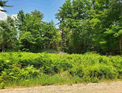 Ossipee Lake  Lot For Sale in Freedom New Hampshire