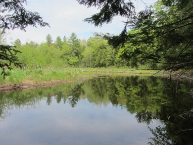 Squaw Lake - Oneida County Acreage For Sale in Lac du Flambeau Wisconsin