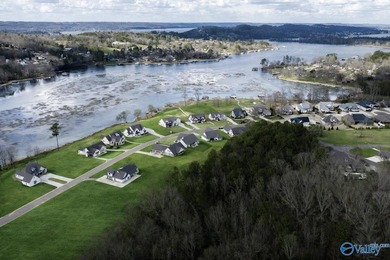 One of the largest lakefront lots in Guntersville in the - photo 22