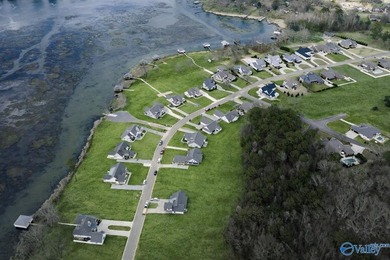 One of the largest lakefront lots in Guntersville in the - photo 23