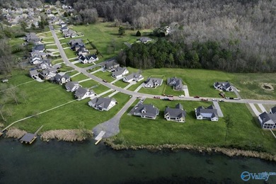 One of the largest lakefront lots in Guntersville in the - photo 24