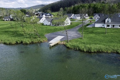 One of the largest lakefront lots in Guntersville in the - photo 25