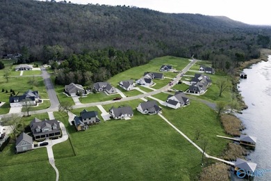 One of the largest lakefront lots in Guntersville in the - photo 27