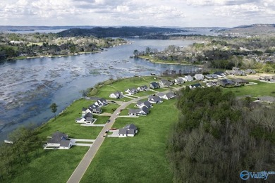 One of the largest lakefront lots in Guntersville in the - photo 28