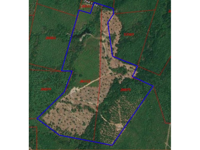 (private lake, pond, coastal) Acreage For Sale in Center Texas