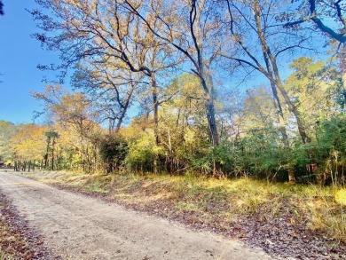 Lake Lot For Sale in Crockett, Texas