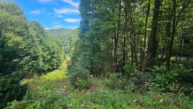 Lake Glenville Lot For Sale in Cullowhee North Carolina