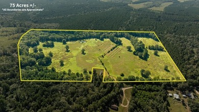 Lake Acreage For Sale in Huntington, Texas