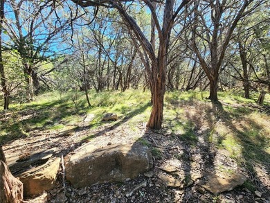 This unrestricted wooded lot offers endless posibilities located - photo 7