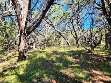 This unrestricted wooded lot offers endless posibilities located - photo 8
