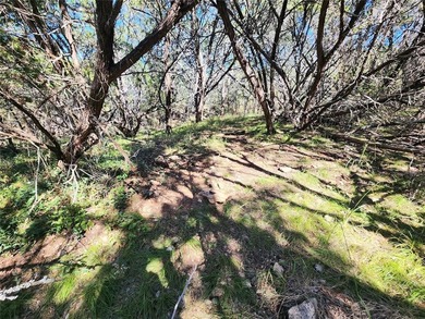 This unrestricted wooded lot offers endless posibilities located - photo 9