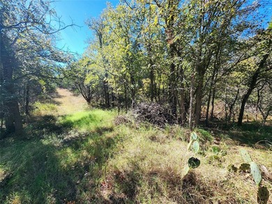 This unrestricted wooded lot offers endless posibilities located - photo 10