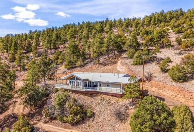 Heron Lake Home For Sale in Los Ojos New Mexico
