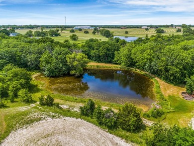 49.46 Acres in Van Alstyne, Texas. Prime for Development or - photo 10