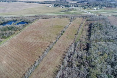 The potential use of this 18.65 acreage property and the - photo 5