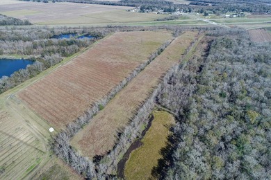 The potential use of this 18.65 acreage property and the - photo 6