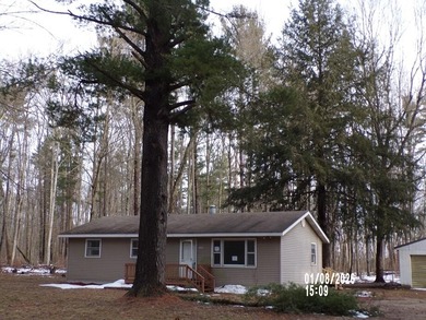 Muskegon River Home For Sale in Grant Michigan