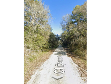 Lake Lot For Sale in Webster, Florida