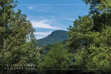 Lake Glenville Acreage For Sale in Cullowhee North Carolina