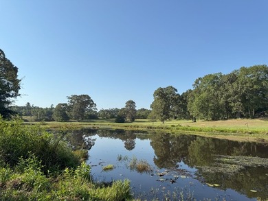 (private lake, pond, creek) Acreage For Sale in Nacogdoches Texas