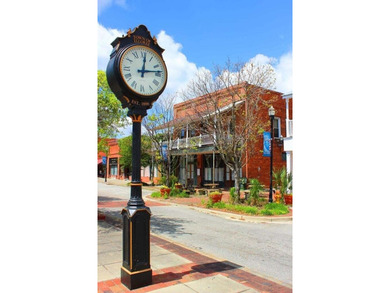 Lake Marion Commercial For Sale in Elloree South Carolina