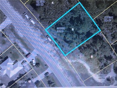 Lehigh Acres Area Lot For Sale in Lehigh Acres Florida
