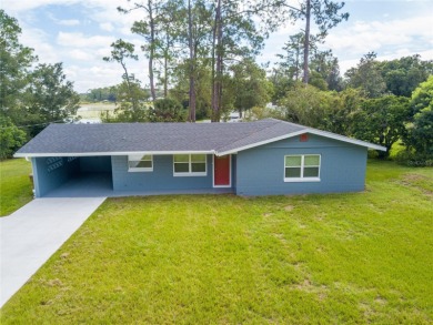 Lake Home For Sale in Umatilla, Florida