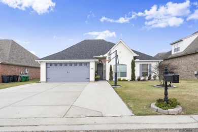 (private lake, pond, coastal) Home For Sale in Sorrento Louisiana